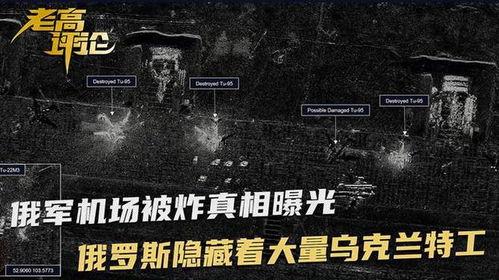 大鹅爆料间谍视频,神秘视频揭秘内幕  第2张